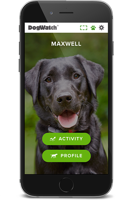 DogWatch of Delaware Valley, Parkesburg, Pennsylvania | SmartFence WebApp Image