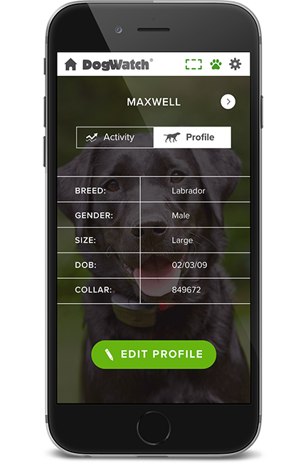 DogWatch of Delaware Valley, Parkesburg, Pennsylvania | SmartFence WebApp Image